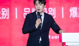 辛巴爆料王海视频,揭秘网络舆论背后的真相