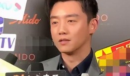 王子导演爆料回放视频,回放视频中的幕后故事与精彩瞬间