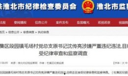 大皖新闻爆料电话是多少,揭秘新闻背后的故事