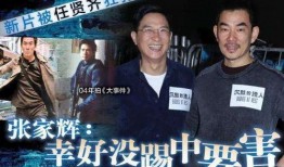 爆料杨紫张家辉视频在线观看,在线观看引发热议