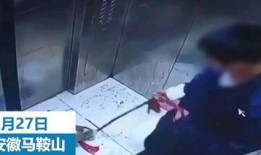 河北爆料小男孩是谁啊视频,视频背后的故事与真相