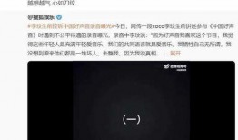 最新爆料好声音完整版视频,独家揭秘！完整版视频幕后花絮大公开