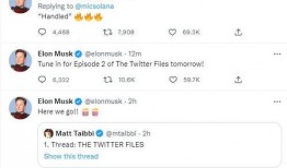 马斯克爆料内容视频,揭秘科技巨头背后的惊人真相！