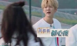 鹿晗热巴爆料新闻,揭秘娱乐圈背后的惊人真相