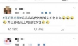 爆料坦诚夫妇视频,真实情感与生活瞬间