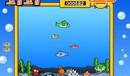 娱乐吃瓜小小鱼,揭秘娱乐圈幕后故事