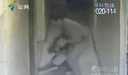 老徐泡菜邻居爆料视频,揭秘泡菜制作背后的秘密