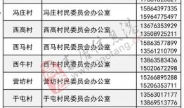 山东民生爆料最新情况,最新进展揭示事件背后真相