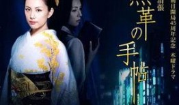 黑皮革手册在线观看,在线观看指南与剧情概览