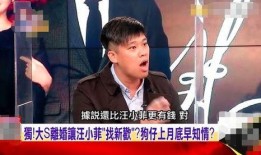 汪小菲爆料视频最新消息,揭秘事件背后惊人真相