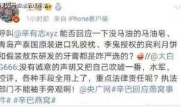 辛巴爆料王海视频,揭秘网络舆论背后的真相