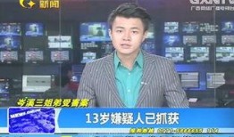 岑溪新闻爆料事件视频