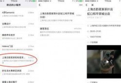 独家最新爆料小程序推荐,最新爆款小程序推荐，带你领略科技魅力