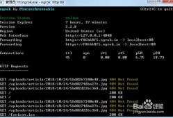 外网爆料哪里看视频最多,外网爆料揭示热门趋势