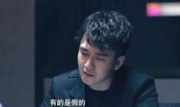 雨晴陈浩无情爆料视频在线观看,揭秘娱乐圈惊人内幕