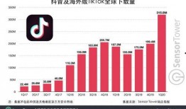 二十大海外视频爆料,揭秘事件背后真相