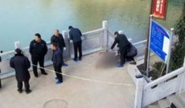 宁县事件爆料信息最新,真相渐露，疑云重重