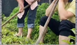 娱乐八卦吃瓜群众1,揭秘“吃瓜群众1”背后的故事