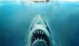 大白鲨 在线观看