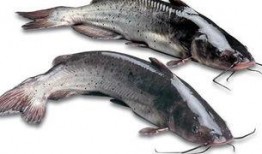 落汤鱼最新爆料图片视频,独家图片视频大揭秘！