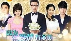 因为爱情有多美在线观看,浪漫邂逅，谱写永恒爱情传奇