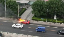 法拉利网友爆料视频播放,揭秘视频背后的精彩瞬间