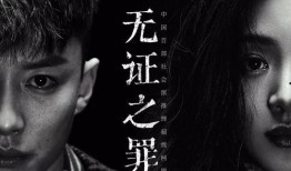 无证之罪免费在线观看,揭秘悬疑背后的真相