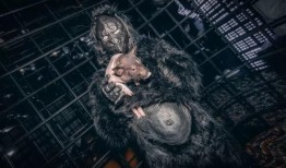 原始兽性1在线观看,在线观看，探索野性本能的惊险旅程