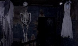 见鬼惊魂旅在线观看,惊悚探险之旅，揭秘未知恐怖世界