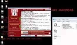 潮汕网红爆料网站大全最新,揭秘网络红人幕后故事