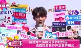 阳阳娱乐爆料名单,揭秘娱乐圈最新名单风云