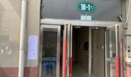 卖惨夫妇现场爆料视频,揭开真相背后的辛酸与泪水