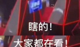 最新爆料好声音完整版视频,独家揭秘！完整版视频幕后花絮大公开