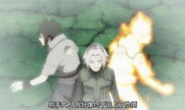 忍战小樱大招爆料视频在线观看,震撼视频带你领略全新技能风采