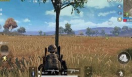 海岛最新模式爆料视频,模式爆料视频深度解析