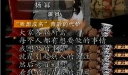 娱乐圈最新爆料文案大全,揭秘明星背后的秘密与真相