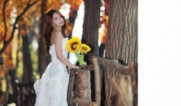 韩国r级诱人的飞行在线观看,激情燃烧的空中之旅