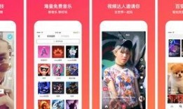 阿乐农家爆料视频大全,揭秘乡村生活趣味瞬间