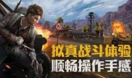 和平精英爆料壮哥视频下载,独家揭秘游戏新动态与精彩瞬间