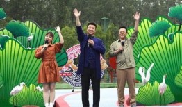 张老板最新爆料视频大全,揭秘幕后真相，带你走进事件核心