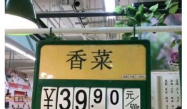 今日菜价爆料图片高清大图,高清大图解析市场动态