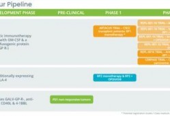 医生爆料病毒视频,揭秘病毒视频背后的惊人内幕
