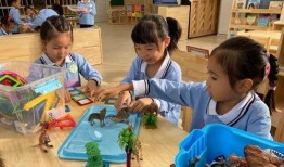 珠海幼儿园爆料案件最新,惊人内幕揭露，家长震惊不已