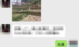 茂名真实爆料事件最新,揭开背后惊人真相