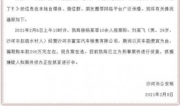 日沙河最新爆料,最新爆料背后的惊人真相