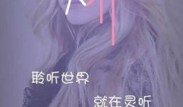 灵听 在线观看,揭秘神秘听觉世界的奇幻之旅