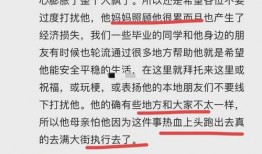大爷最新爆料事件视频,最新爆料事件视频全解析