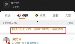 辟谣皮肤爆料视频最新,最新皮肤爆料视频真相大起底
