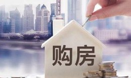 郑州房产爆料视频,揭秘郑州楼市最新动态与趋势