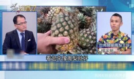台湾凤梨爆料视频大全集,揭秘幕后真相与精彩瞬间
